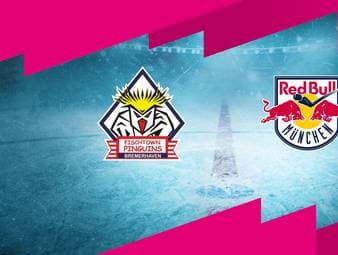 Pinguins Bremerhaven - EHC Red Bull München: Tore und Highlights | PENNY DEL