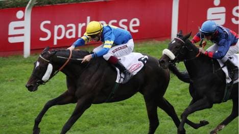 Wonnemond triumphiert in Düsseldorf