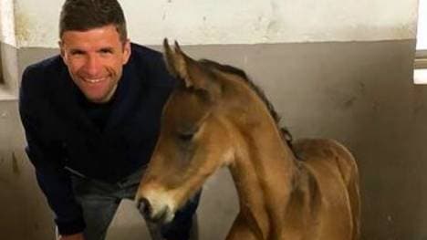 FC Bayern: Thomas Müller nennt Pferd nach Manuel Neuer