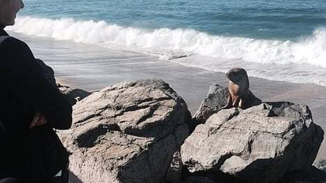 Ab sofort beste Freunde? Maria Sharapova fand den niedlichen Heuler offenbar mehr als süß.