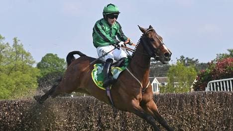 Das Rennpferd Hewick hat auf der Insel Kultstatus erlangen. 