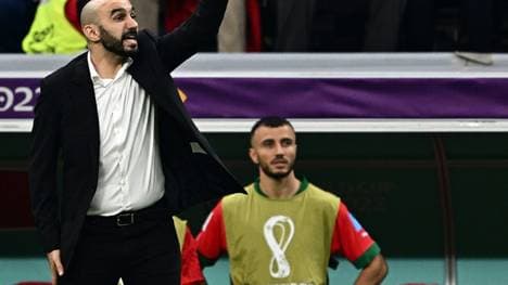 Führte Marokko bis ins WM-Halbfinale: Walid Regragui