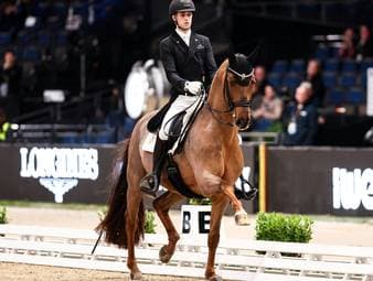 Deutsches Dressur-Ass nach Patzer stark