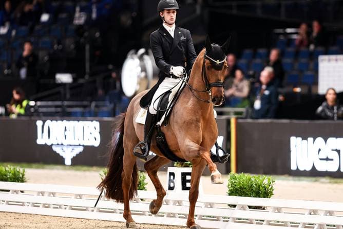 Deutsches Dressur-Ass nach Patzer stark