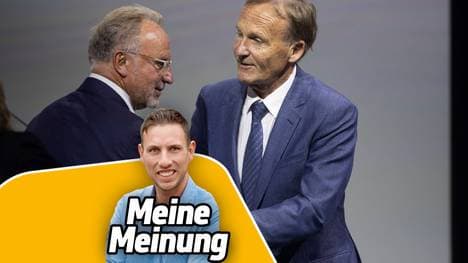 SPORT1-Reporter Christopher Michel sieht die neue DFB-Taskforce kritisch