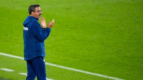 David Wagner scheiterte bei Schalke 04