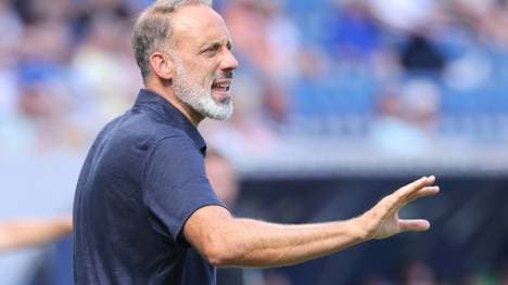 Geht nach Spanien: Pellegrino Matarazzo