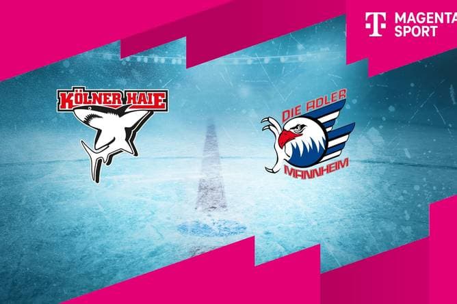 Kölner Haie - Adler Mannheim (Highlights)