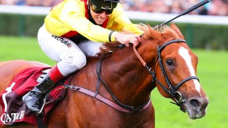 Bitterer Sturz auf der Galopprennbahn in Dortmund