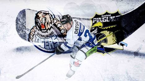 In der DEL empfangen die Straubing Tigers die Krefeld Pinguine