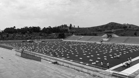 In einem kongolesischen Stadion ist es zu einer Tragödie gekommen
