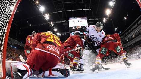 Die Kölner Haie und die Düsseldorfer EG treffen gleich am ersten Spieltag aufeinander