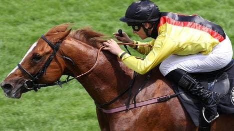 Torquator Tasso und Rene Piechulek gewinnen Hansa-Preis