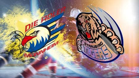 Die Adler Mannheim empfangen die Straubing Tigers