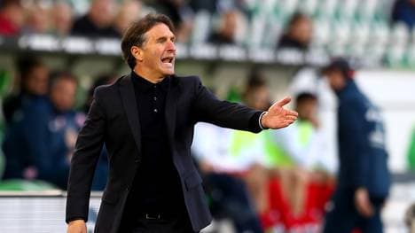 Bruno Labbadia spricht über den Abstieg des Hamburger SV und den VfL Wolfsburg   , Bruno Labbadia rettete den Hamburger SV in der Relegation vor dem Abstieg