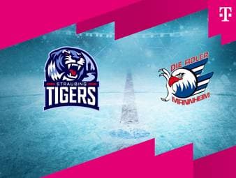 Straubing Tigers - Adler Mannheim: Tore und Highlights | PENNY DEL