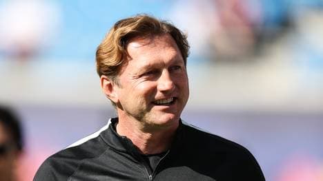 RB Leipzig v SV Darmstadt 98 - Bundesliga