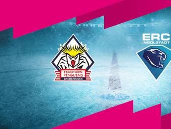Pinguins Bremerhaven - ERC Ingolstadt: Tore und Highlights | PENNY DEL