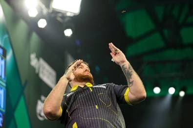 Das Geheimnis der Ally-Pally-Wespe