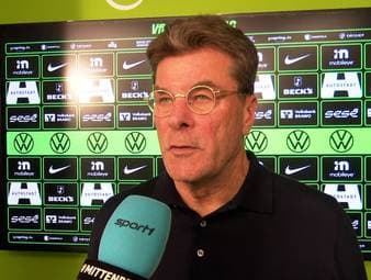 Der VfL Wolfsburg steckt tief im Abstiegskampf der Bundesliga. Dieter Hecking soll die Wölfe zum Klassenerhalt führen. Im Interview erklärt er, wie er den Verein retten will.