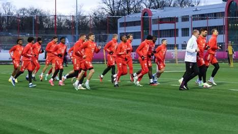 Am Trainingsgelände soll umgebaut werden