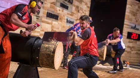 Technik vor Kraft - Beim Sportholzfällen ist die richtige Herangehensweise entscheidend für Sieg oder Niederlage