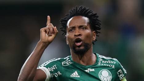 Palmeiras v Santos - Copa do Brasil 2015 Final