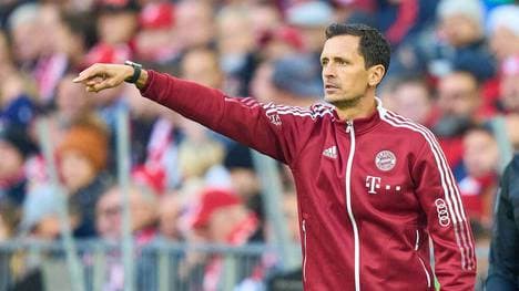 Dino Toppmöller ersetzt beim FC Bayern Julian Nagelsmann erneut