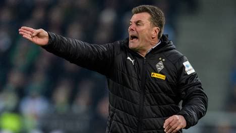 Mönchengladbach: Dieter Hecking erklärt abgebrochenes Interview mit Lienen-Aussage, Trainer Dieter Hecking muss Mönchengladbach zum Saisonende verlassen