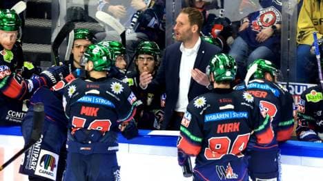 Rankel als Co-Trainer der Eisbären