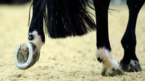 Auch in Deutschland greift das Herpes-Virus um sich