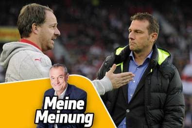 Welcher neue Besen kehrt besser?