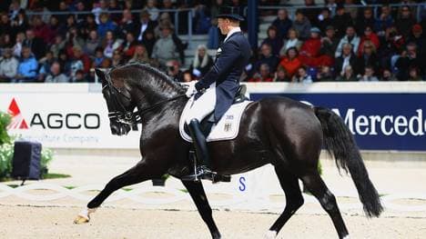 Matthias Rath ist seit 2010 der Reiter von Totilas