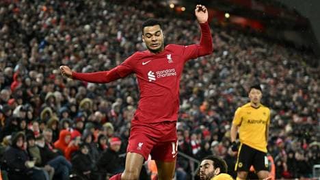 Gakpos Debüt für die Reds