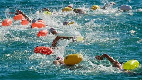 Freiwasser-Schwimmer auf neuen Bahnen unterwegs