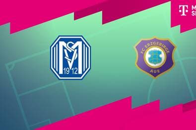 SV Meppen - FC Erzgebirge Aue (Highlights)