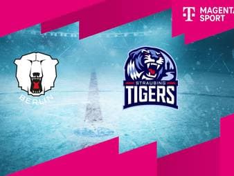 Eisbären Berlin - Straubing Tigers: Tore und Highlights | PENNY DEL