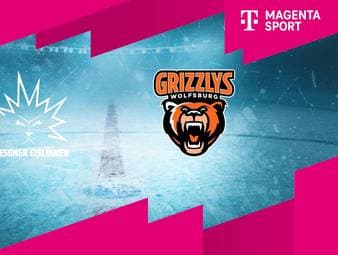 Dresdner Eislöwen - Grizzlys Wolfsburg: Tore und Highlights | PENNY DEL
