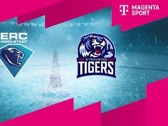 ERC Ingolstadt - Straubing Tigers: Tore und Highlights | PENNY DEL