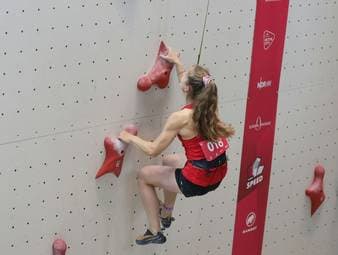 DAV richtet sich neu aus