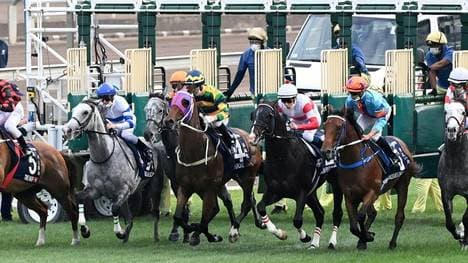 Ein Video versetzt den Pferderennsport in Aufruhr