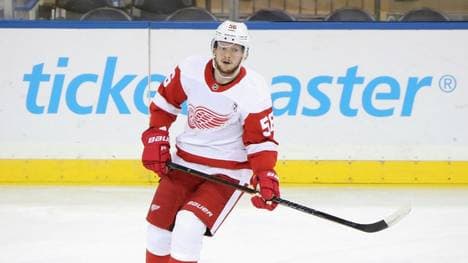 Ryan Kuffner wechselt zu den Augsburger Panthern