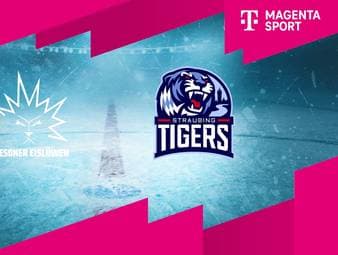 Dresdner Eislöwen - Straubing Tigers: Tore und Highlights | PENNY DEL