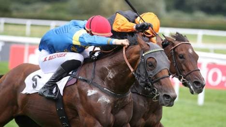 Zerostress gewinnt die Goldene Peitsche