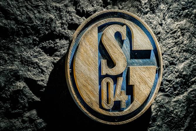 Schalke verkündet Partnerschaft mit US-Klub