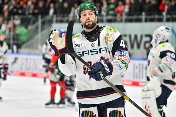 Erleichterung bei den Eisbären