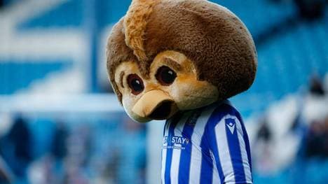 Sheffield Wednesday (im Bild Maskottchen Ozzy Owl) hat Insolvenz beantragt