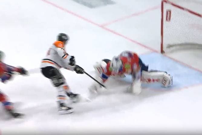 Grizzlys schocken die Eisbären