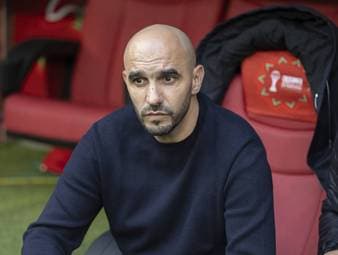 Trainer tritt vor WM zurück - Nachfolger steht fest