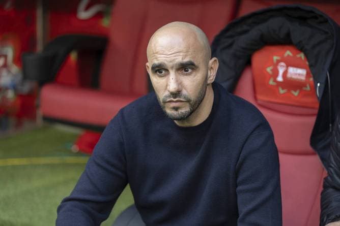 Trainer tritt vor WM zurück - Nachfolger steht fest